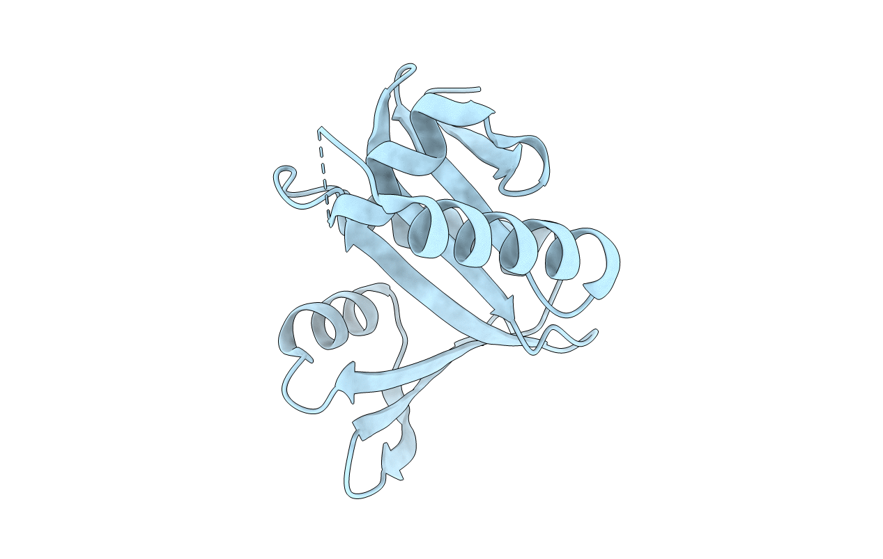4XPK image