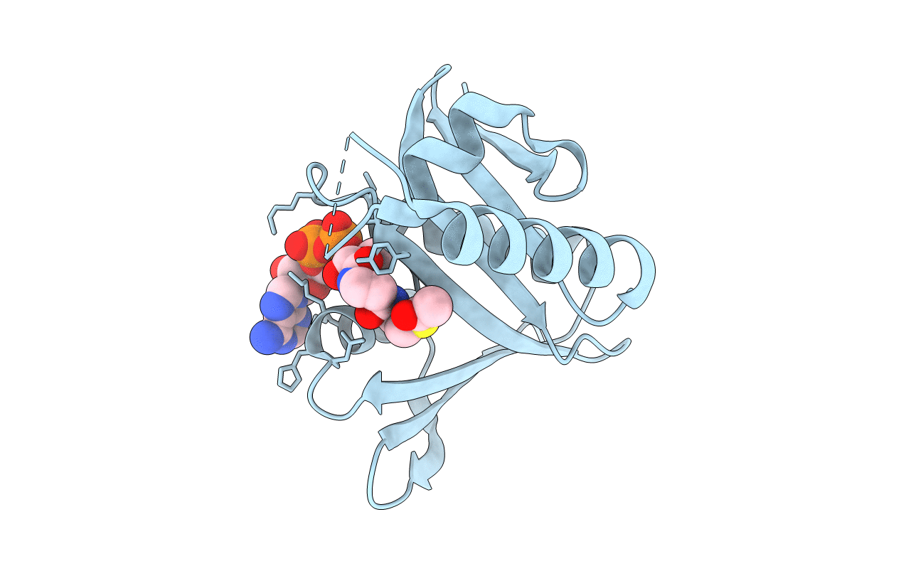 4XPL image