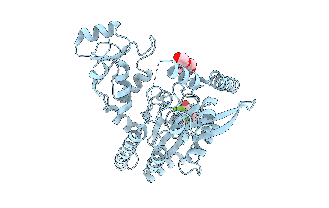 4XPZ image