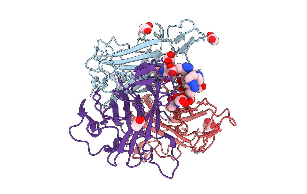 4XQA image