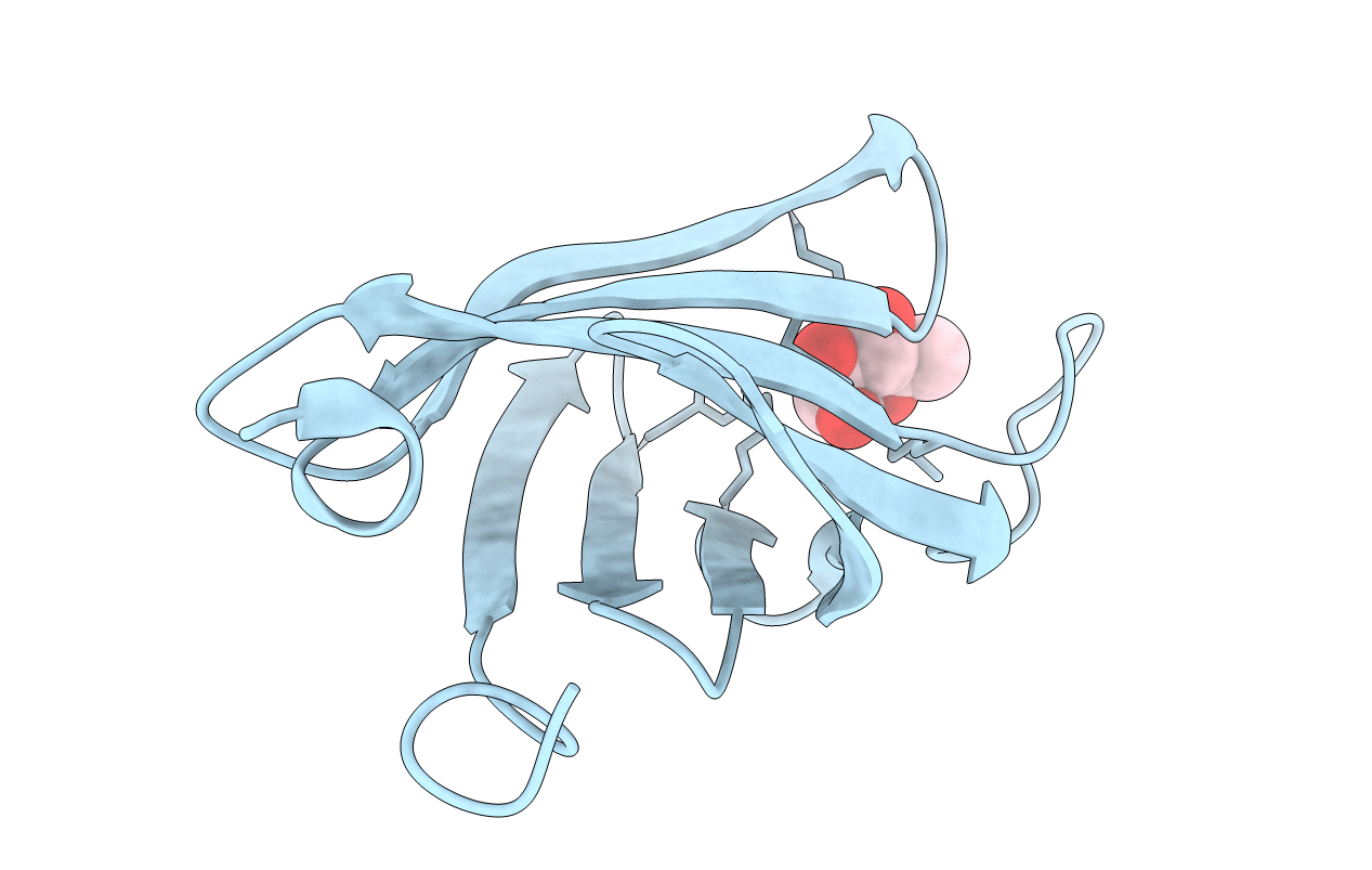 4XQM image