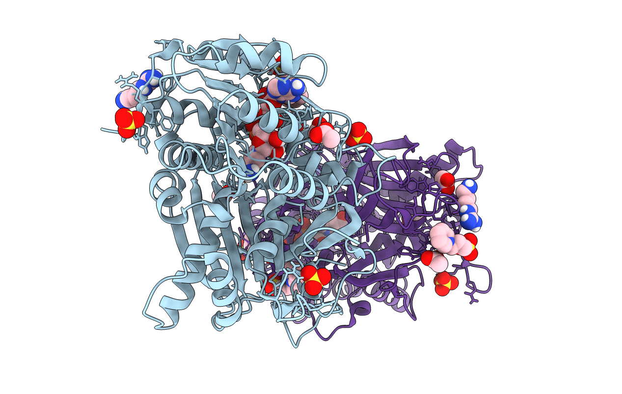 4XR4 image