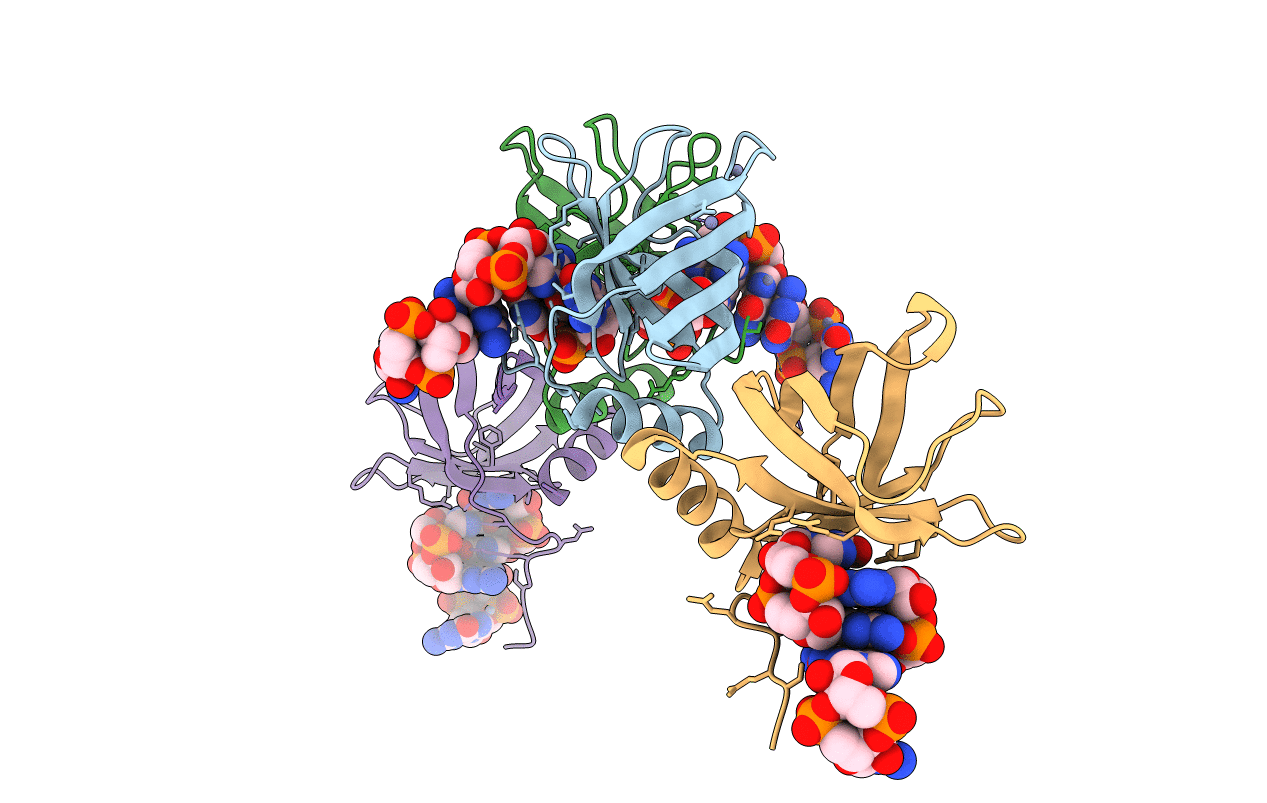 4XRN image