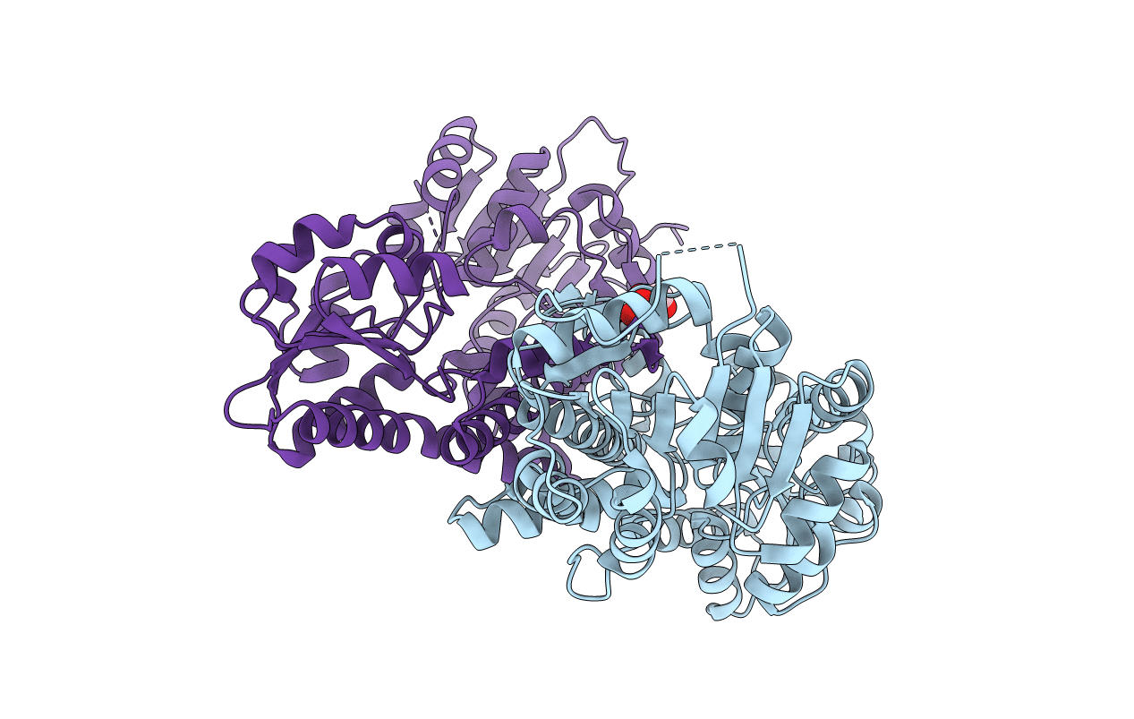 4XRR image