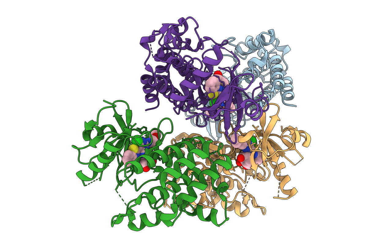 4XS2 image
