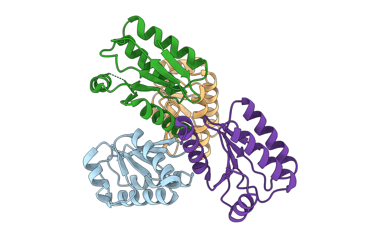4XS5 image