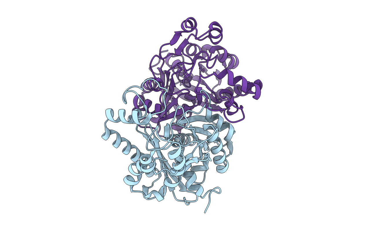 4XSA image