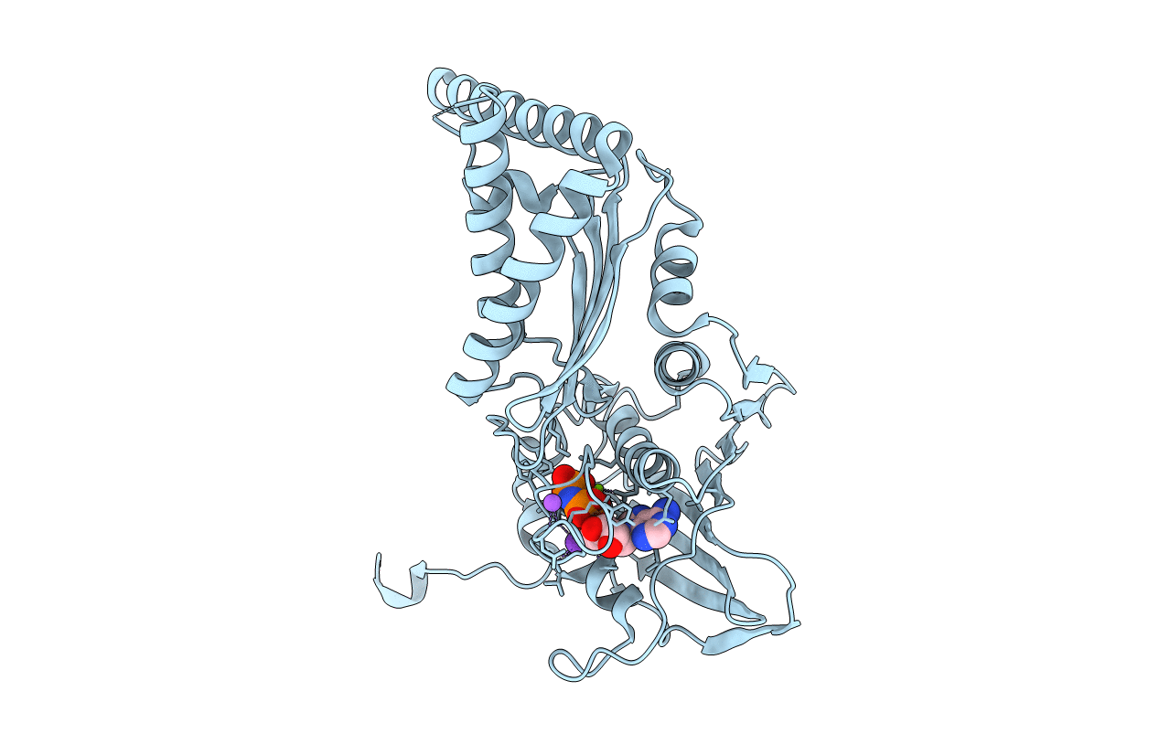 4XTJ image