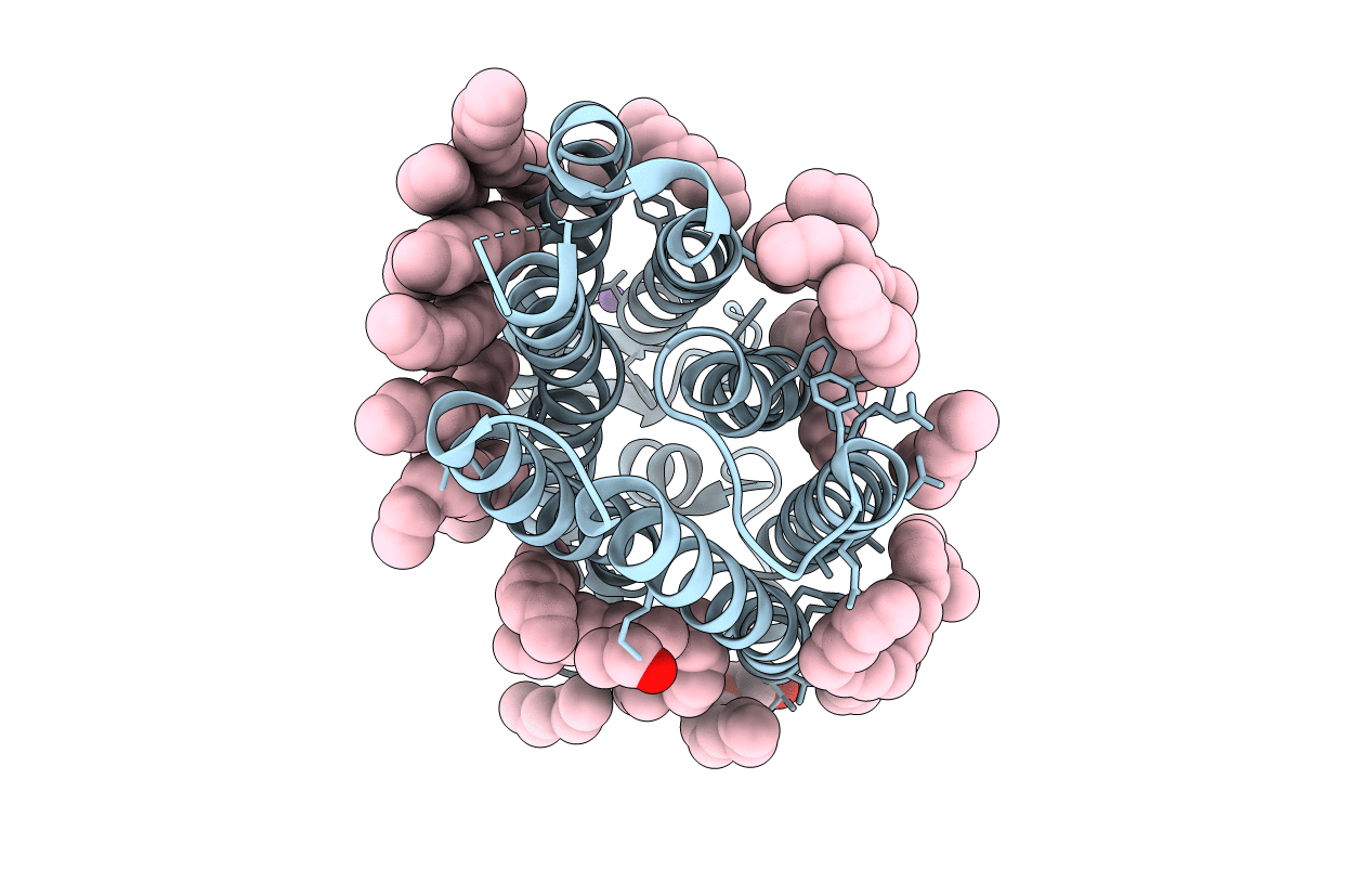 4XTL image