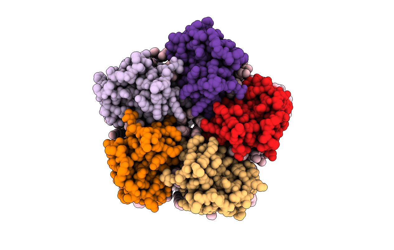 4XTN image