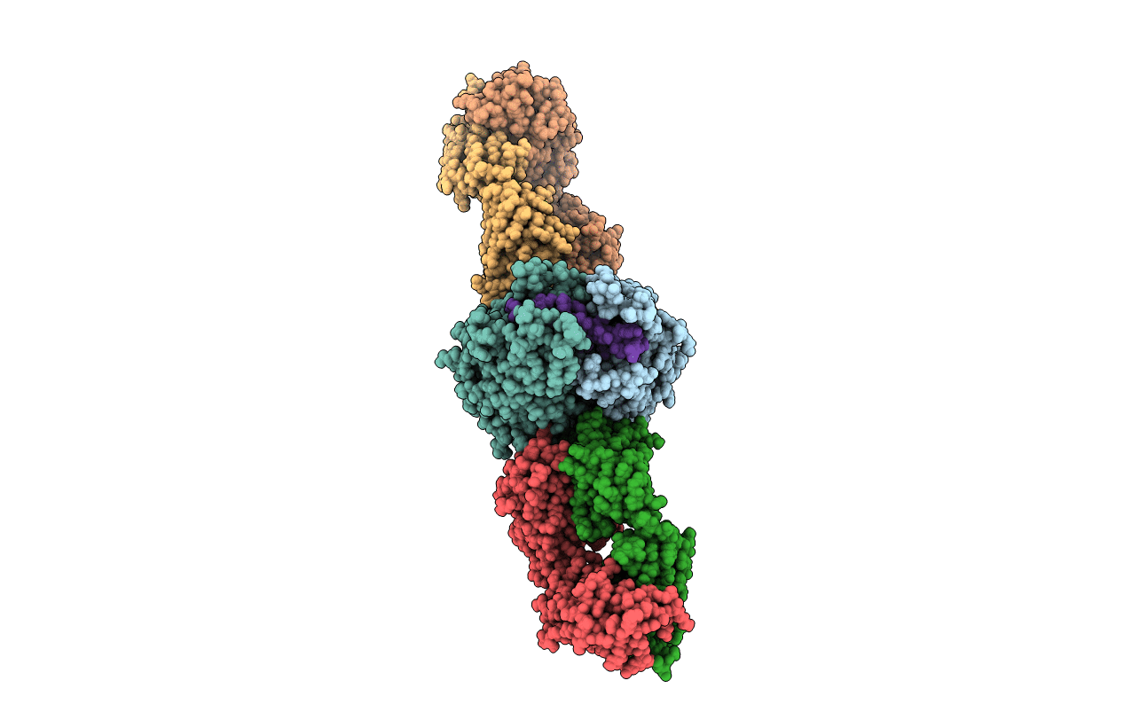 4XTR image
