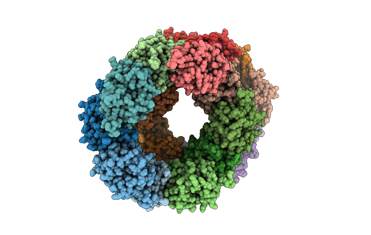 4XTS image