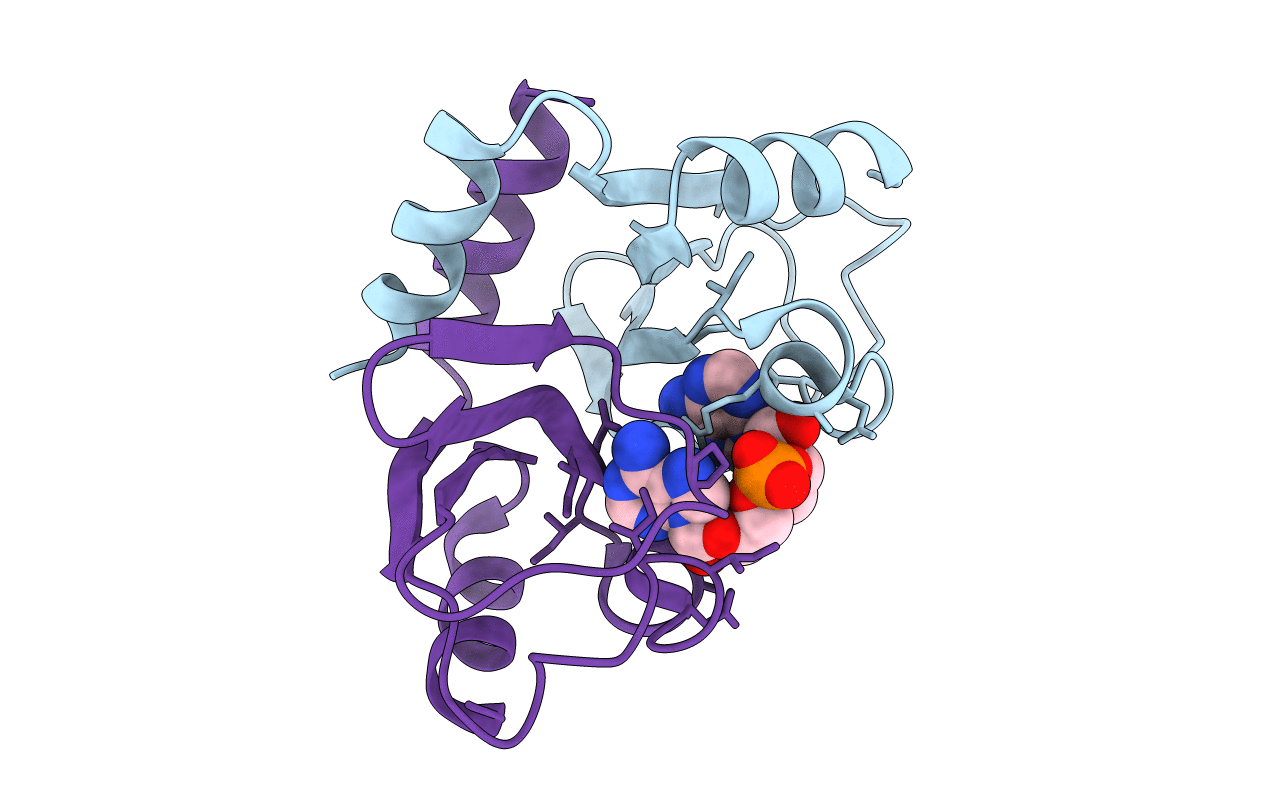 4XTT image