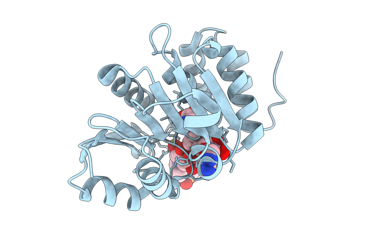 4XUD image