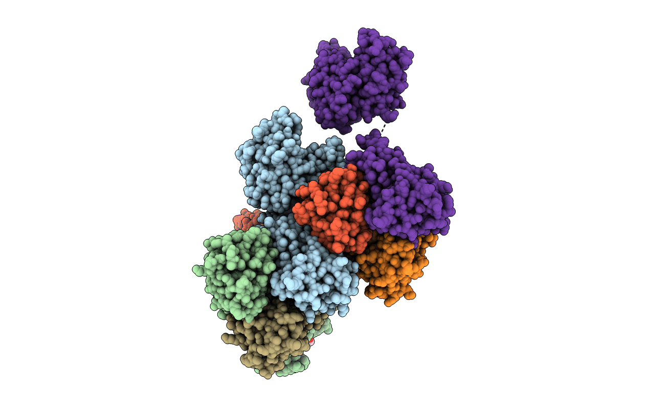 4XUP image