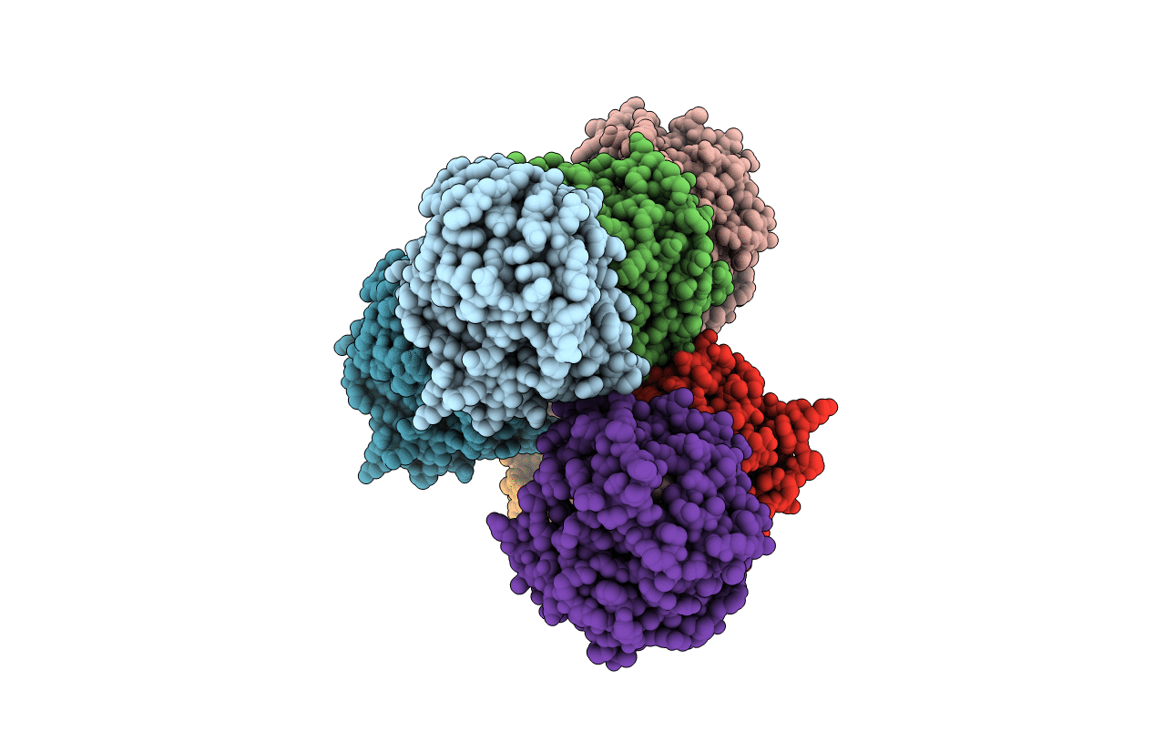 4XVC image
