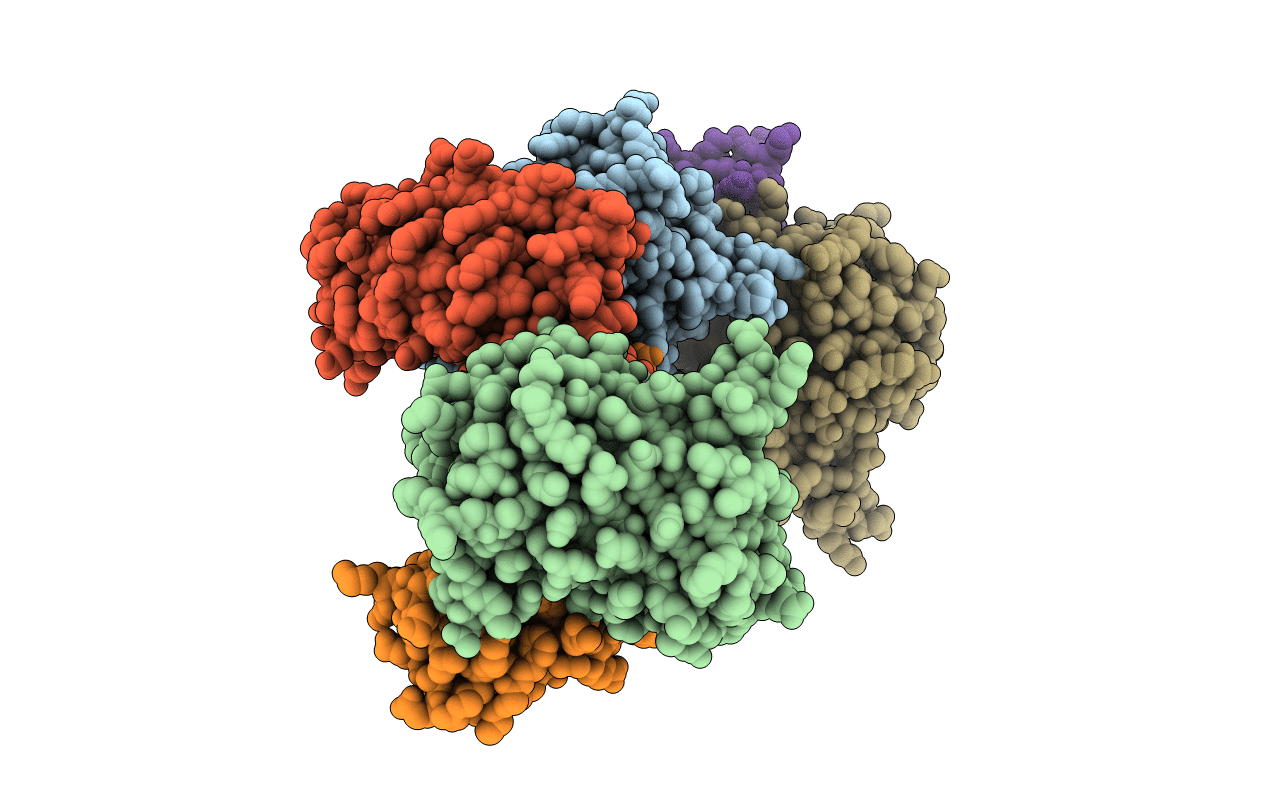 4XVP image