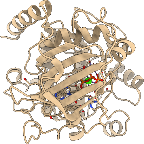 4XW5 image