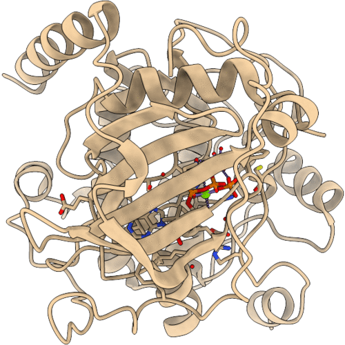 4XW6 image