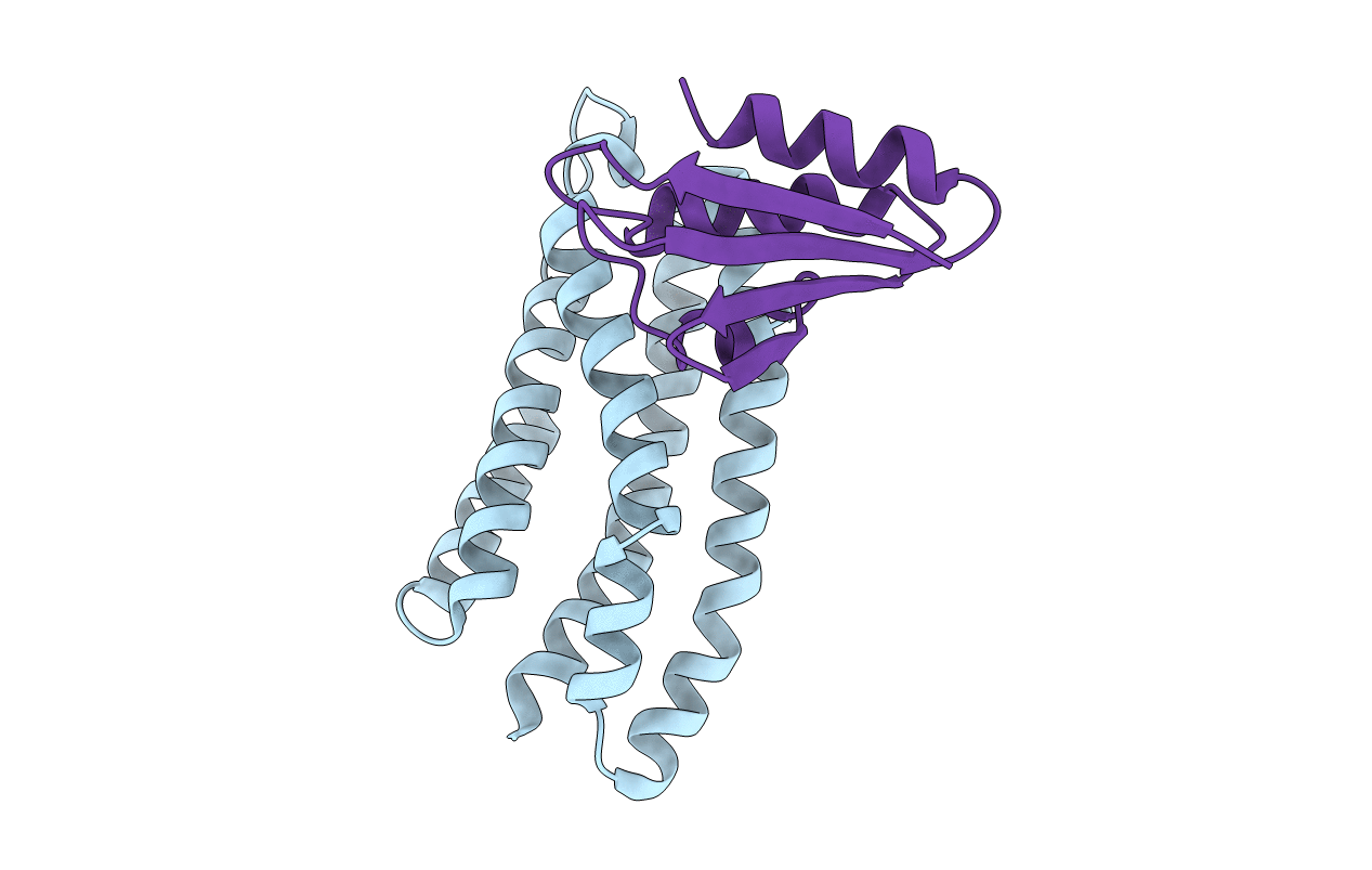 4XWJ image
