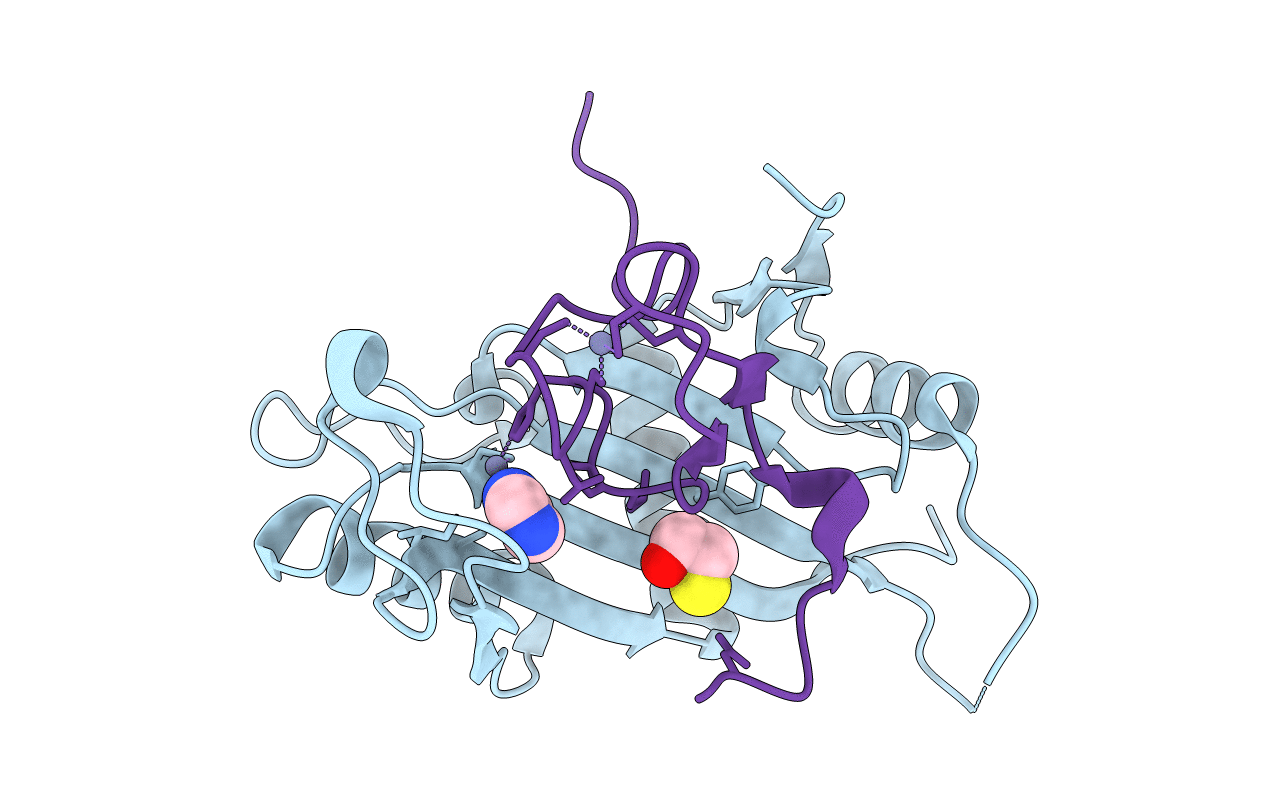 4XXB image
