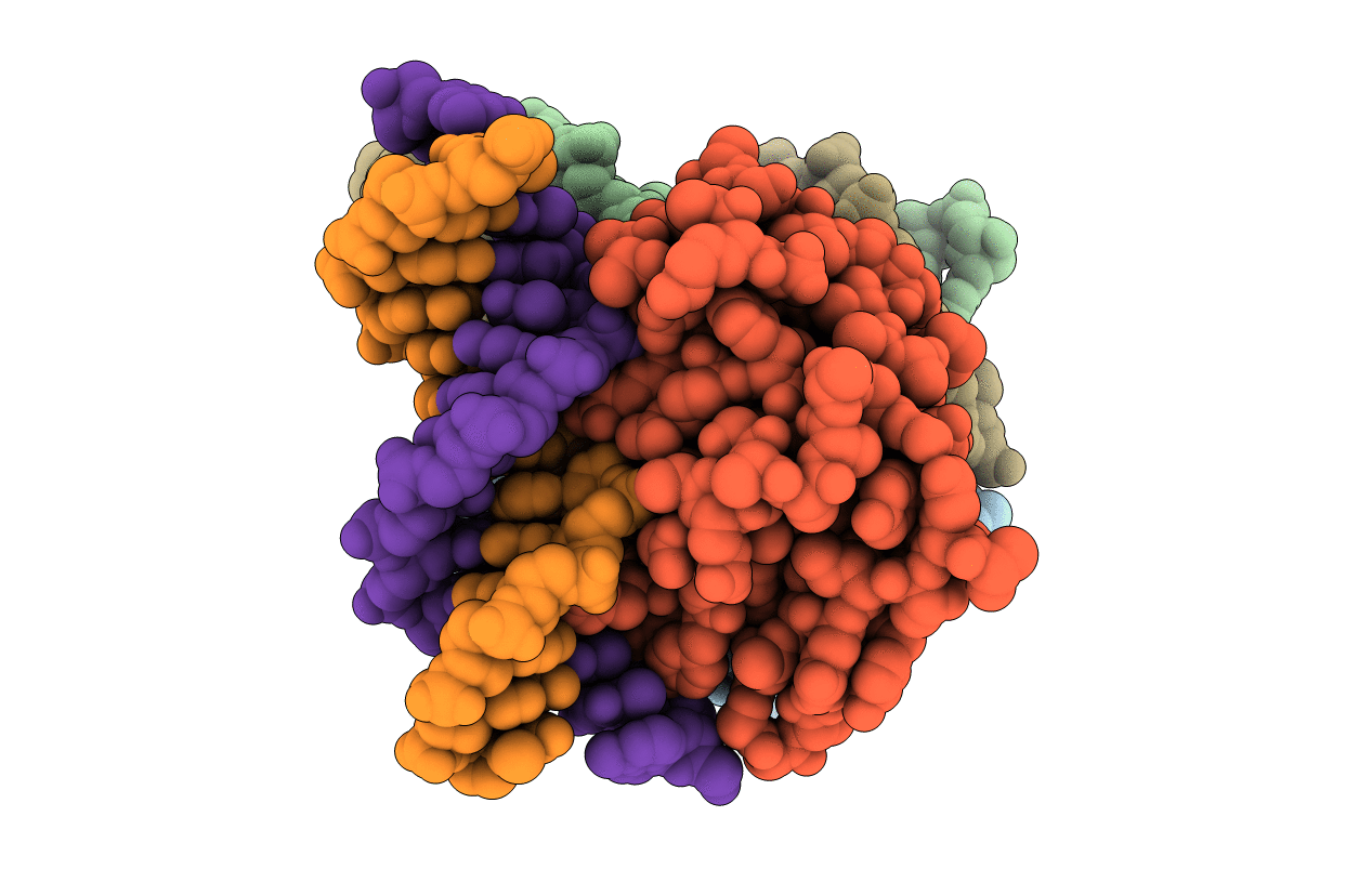 4XXE image