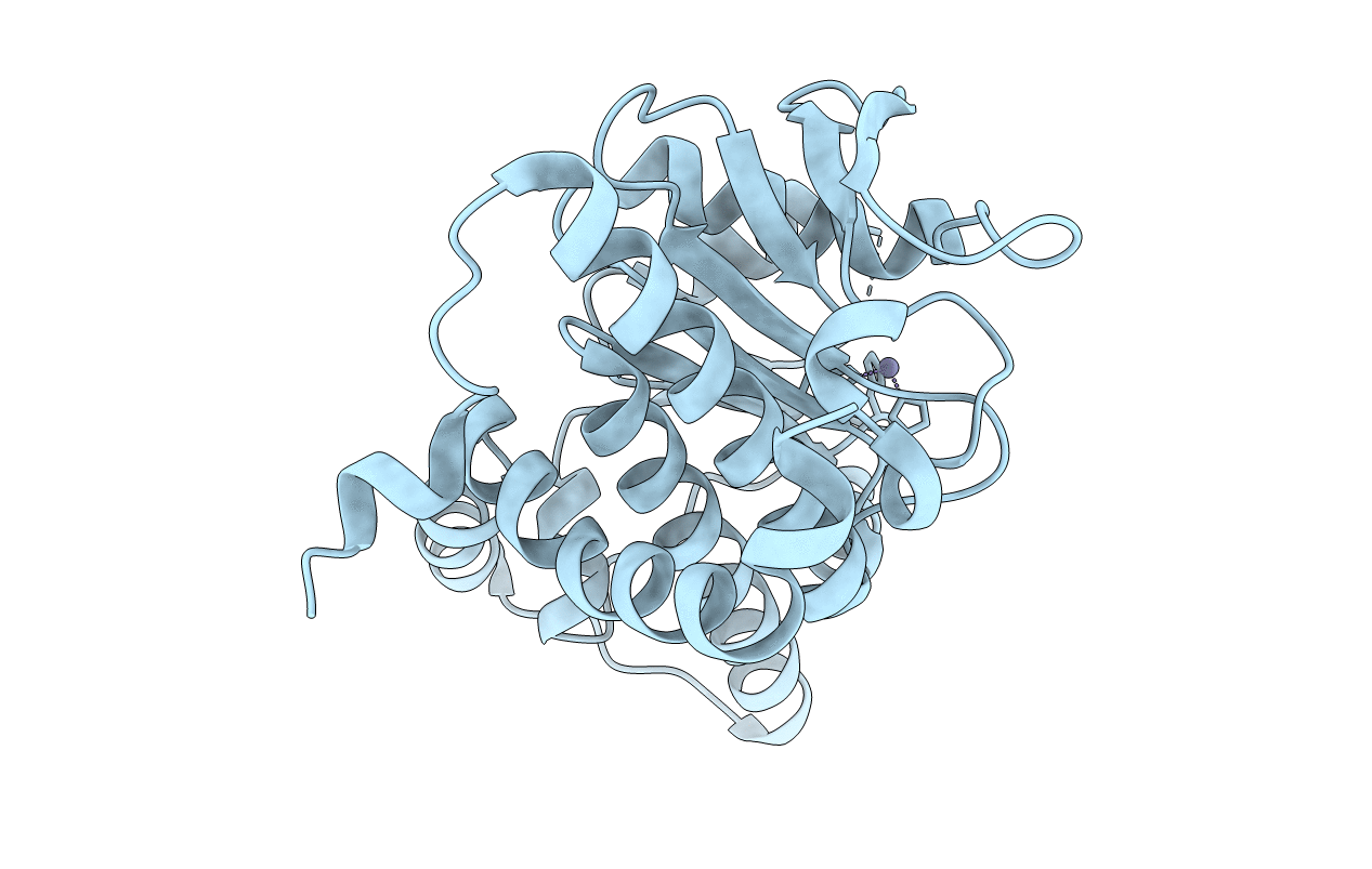 4XXF image