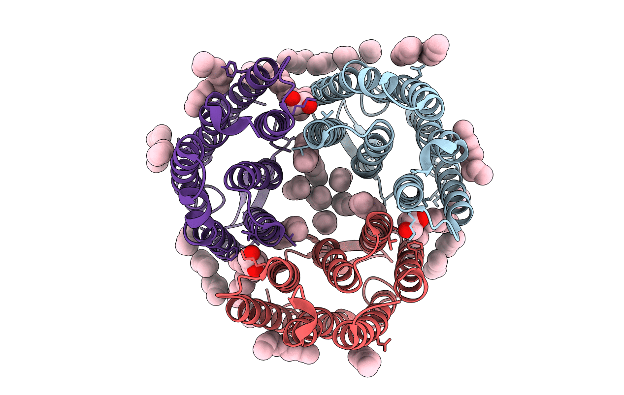 4XXJ image
