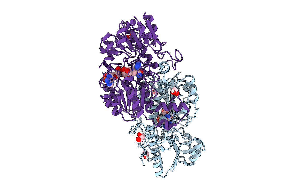 4XYB image