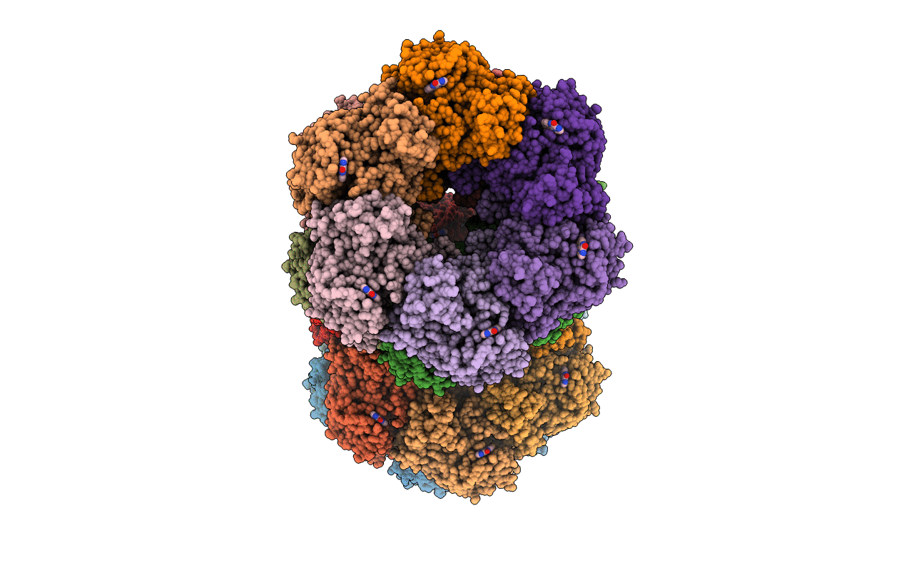 4XYC image
