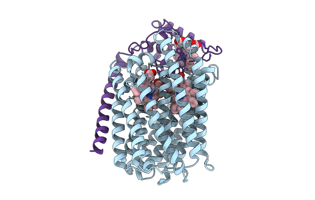 4XYD image