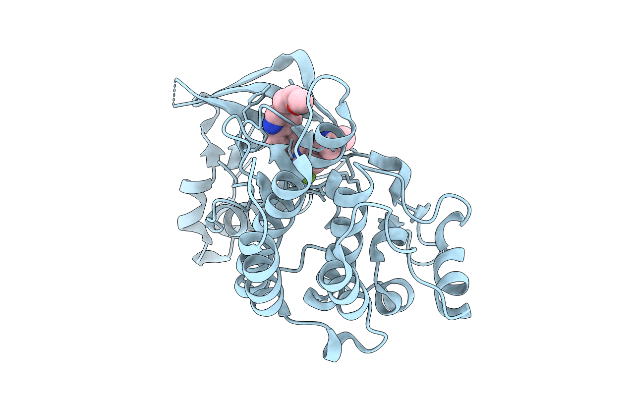 4XYF image
