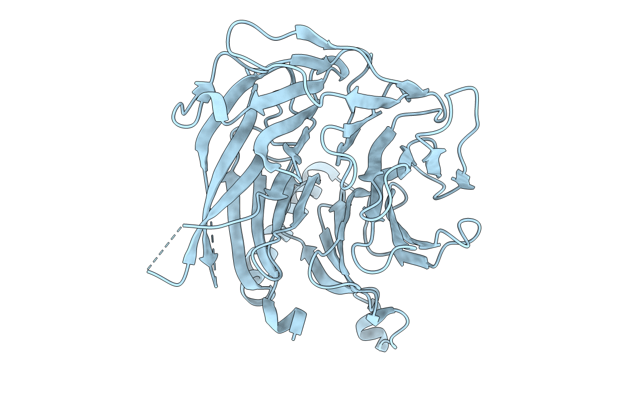 4XYH image