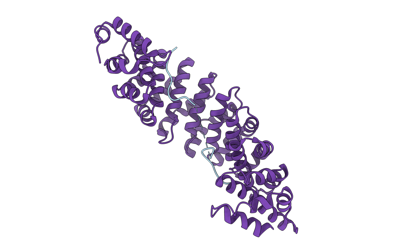 4XZR image