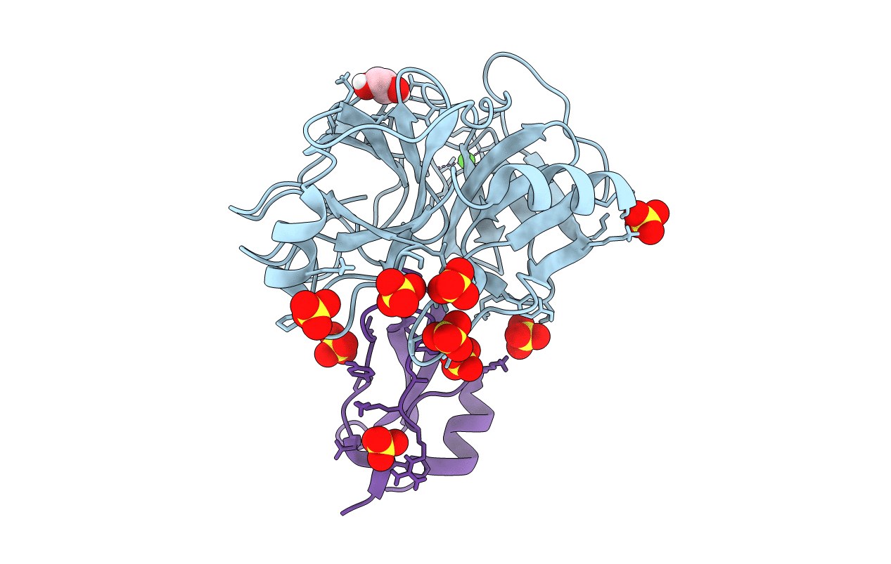 4Y10 image