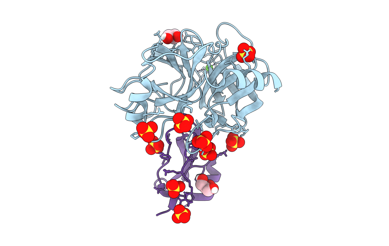 4Y11 image