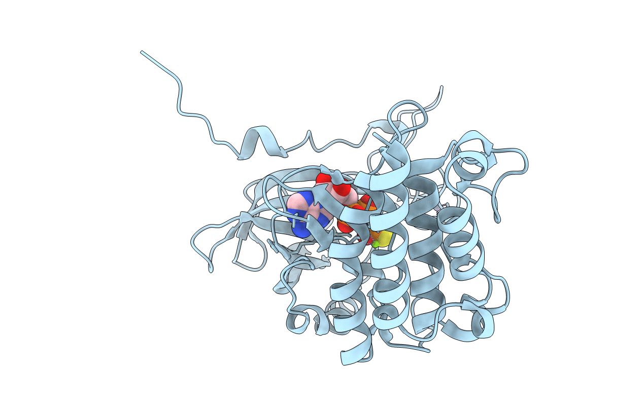 4Y12 image