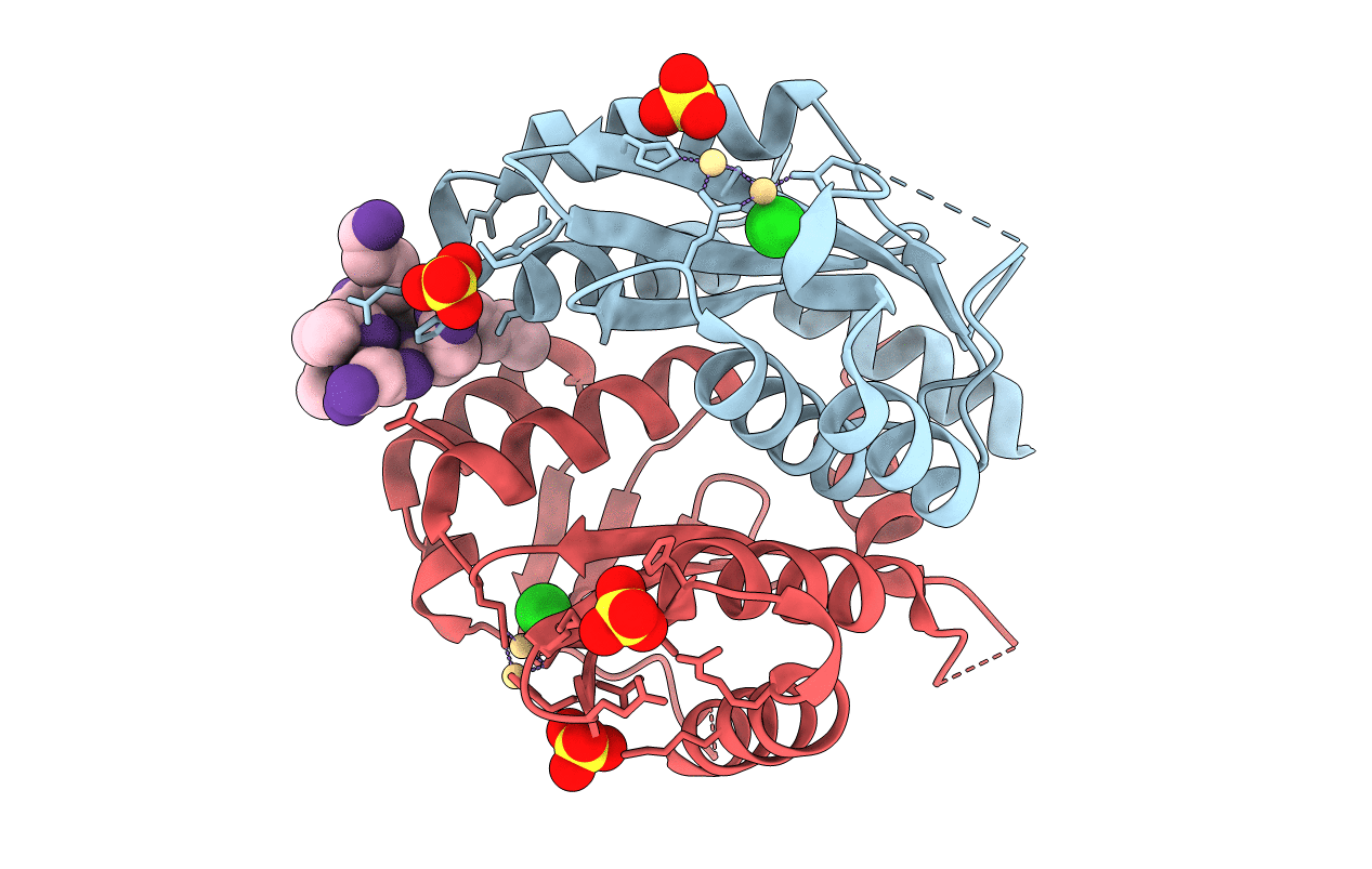 4Y1D image