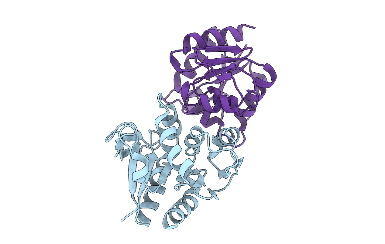 4Y1F image