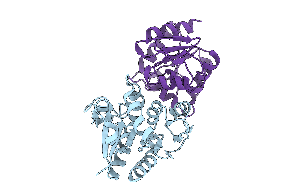 4Y1R image