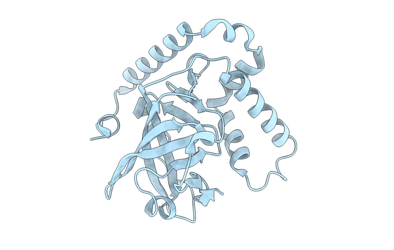 4Y1W image