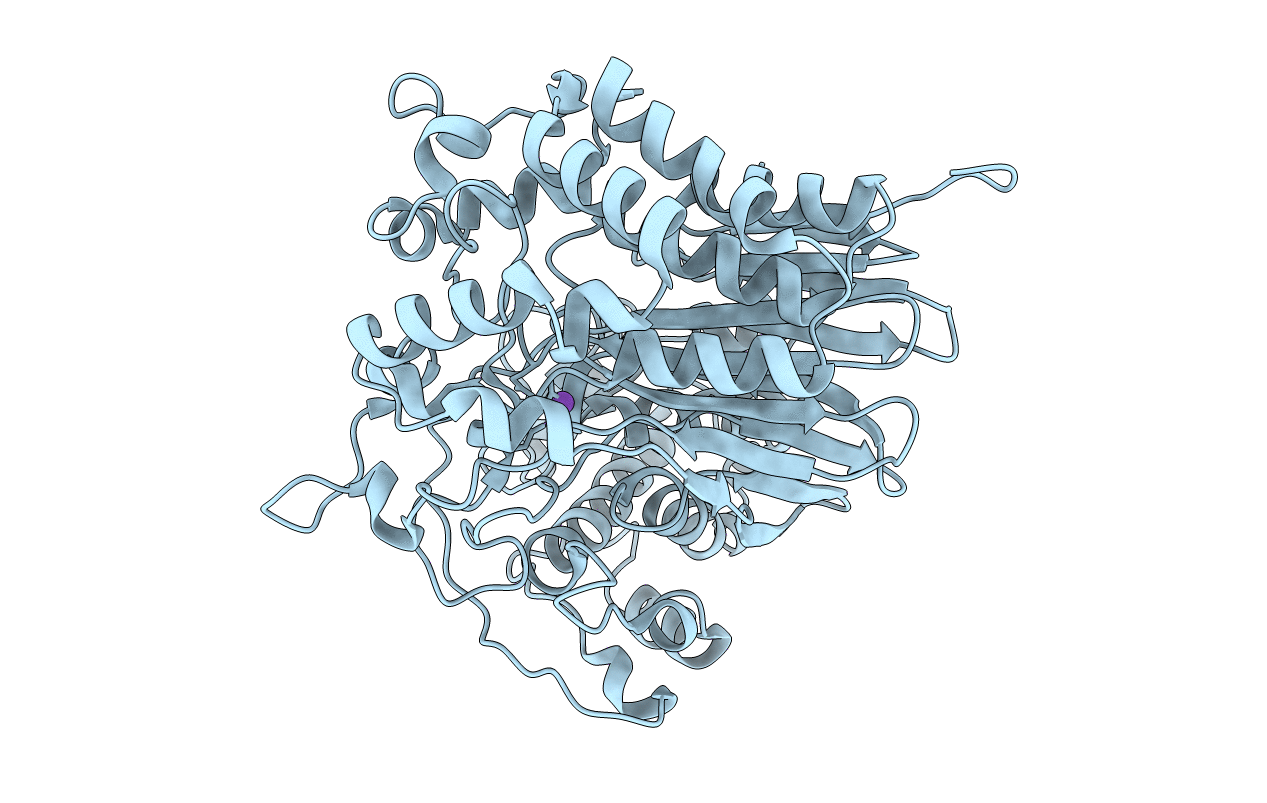 4Y23 image