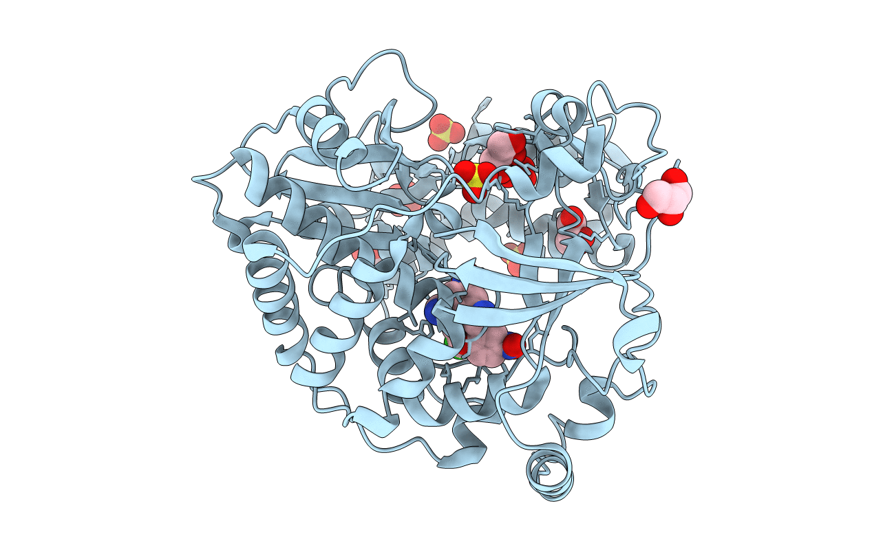 4Y2A image