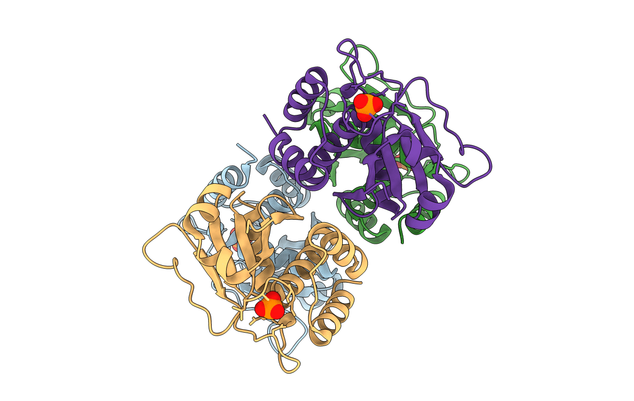 4Y2E image