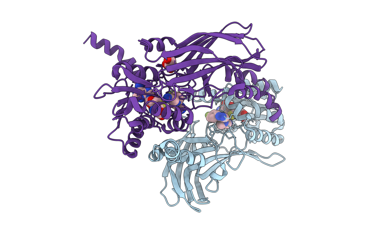 4Y2H image