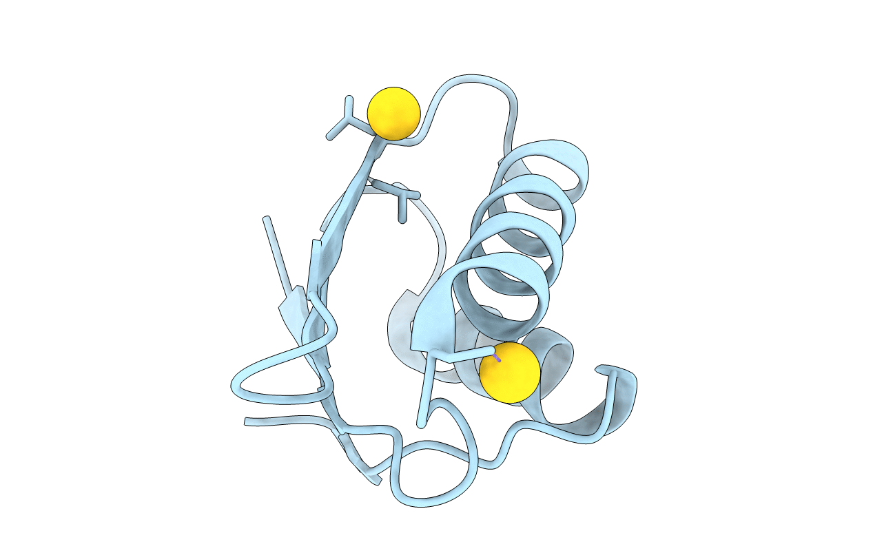 4Y2I image