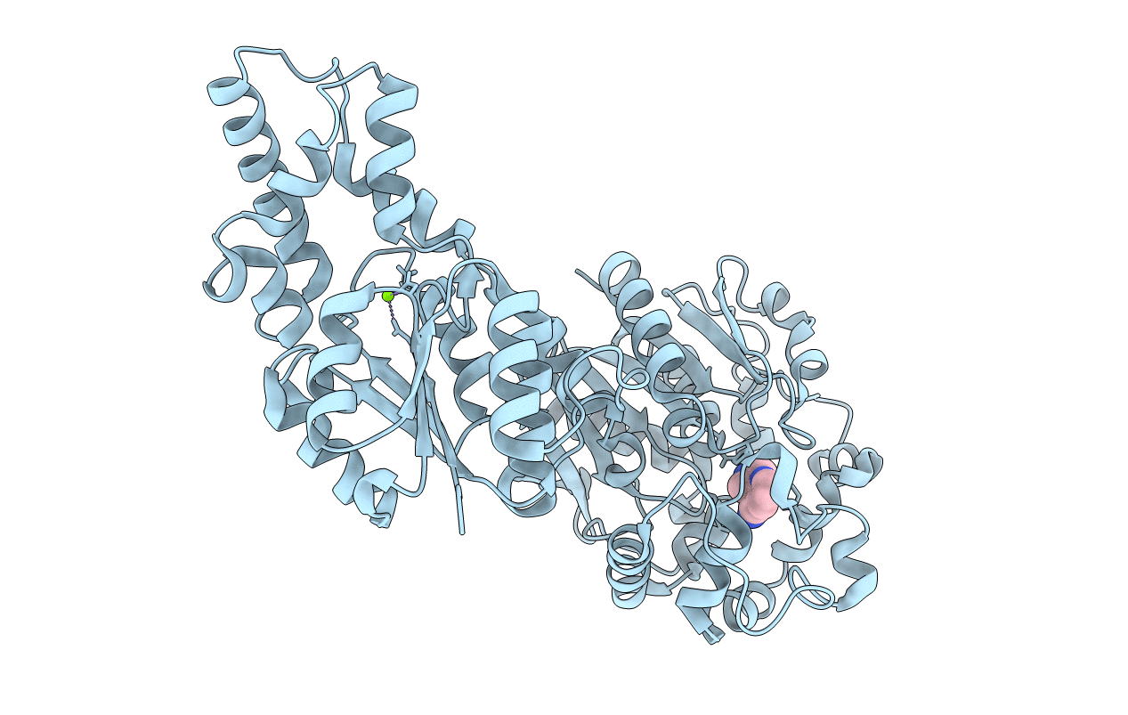 4y2r image