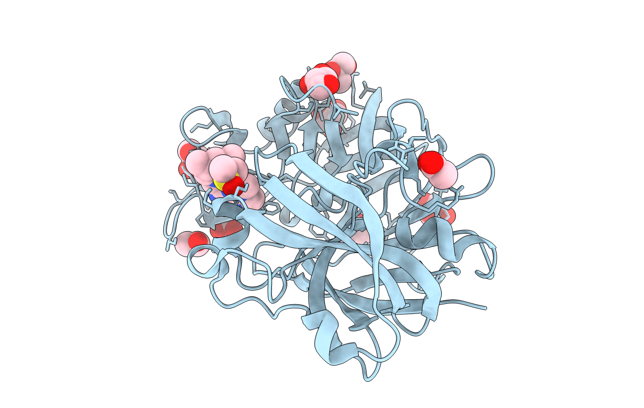 4Y3A image