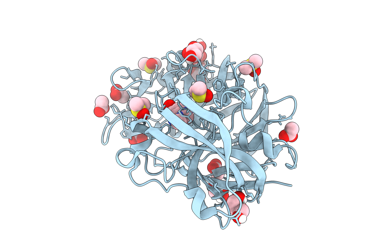 4Y3J image
