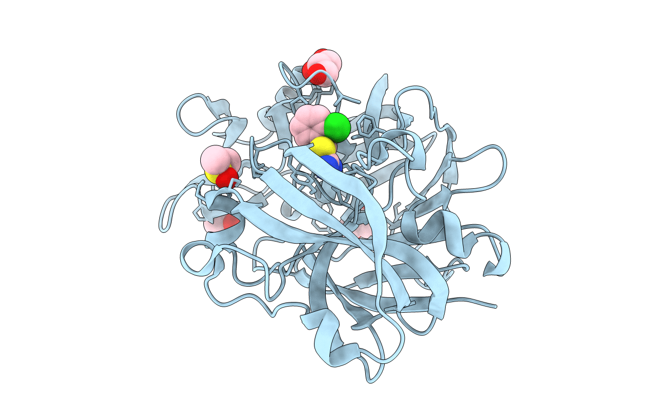 4Y3R image